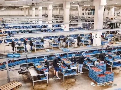 【視界】超越德國？揭秘農業科技領域的隱形冠軍